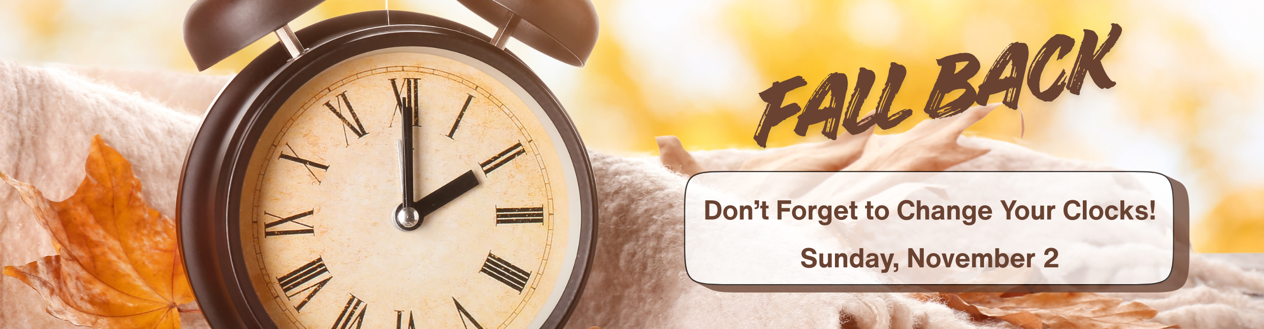 Fall Back - set your clocks back