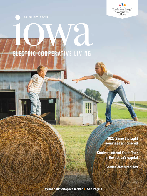 Image link to Iowa Electric Cooperative LIving