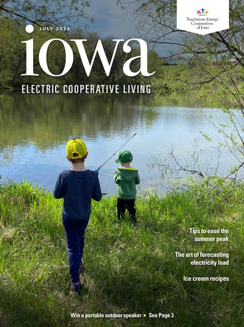 Image link to Iowa Electric Cooperative LIving