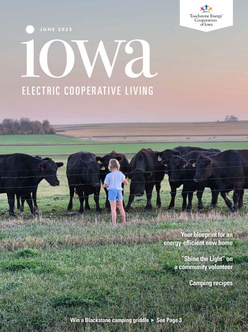 Image link to Iowa Electric Cooperative LIving