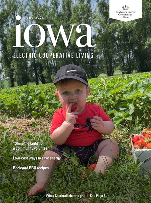 Image link to Iowa Electric Cooperative LIving