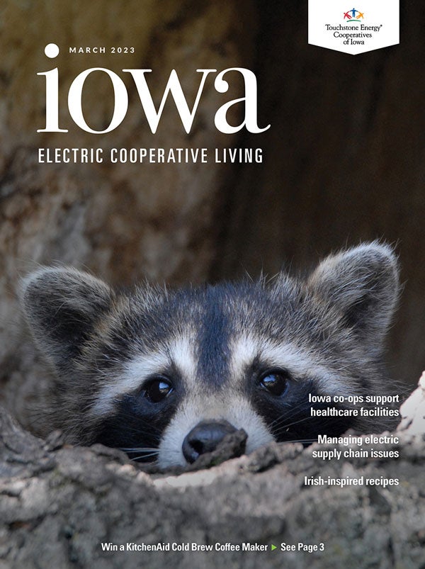 Image link to Iowa Electric Cooperative LIving