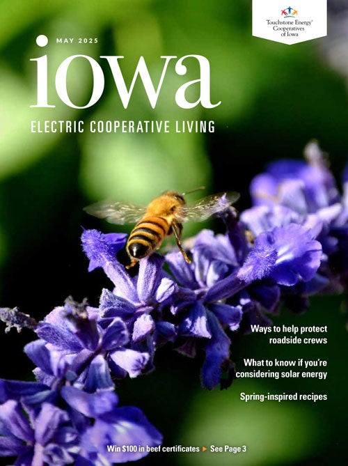 Image link to Iowa Electric Cooperative LIving