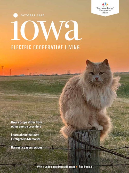 Image link to Iowa Electric Cooperative LIving
