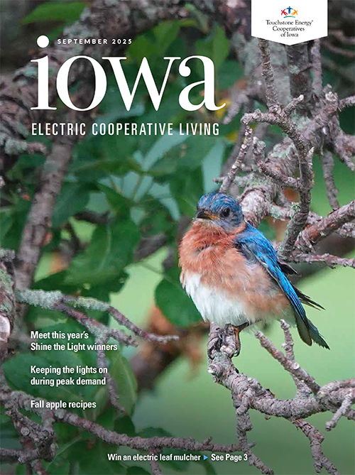 Image link to Iowa Electric Cooperative LIving