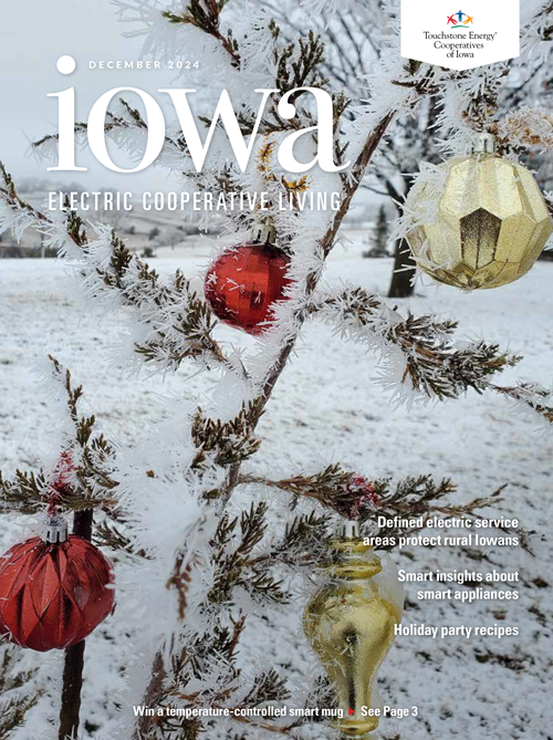 Image link to Iowa Electric Cooperative LIving